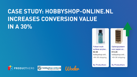hobbyshopnl increases conversion value and impressions